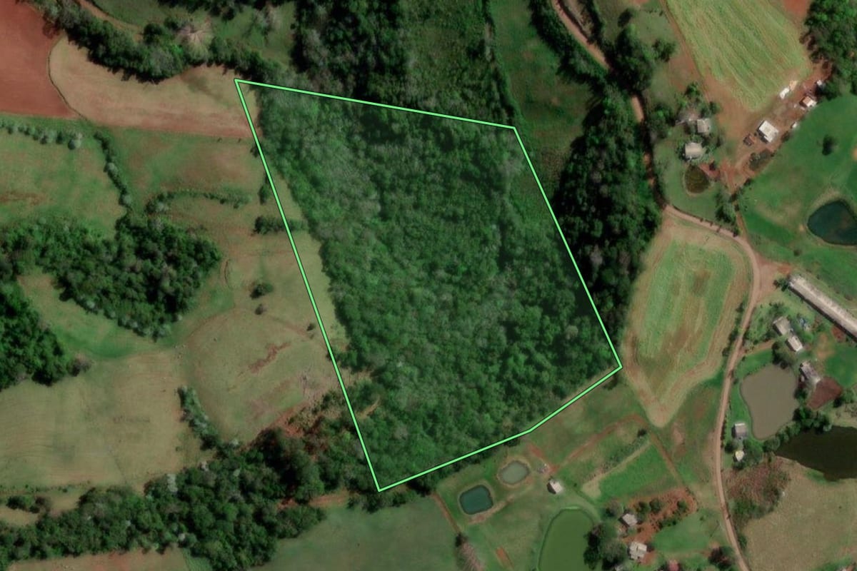 Imagem de satélite do imóvel rural em Palmitinho (RS), com o contorno declarado no CAR desenhado por cima.