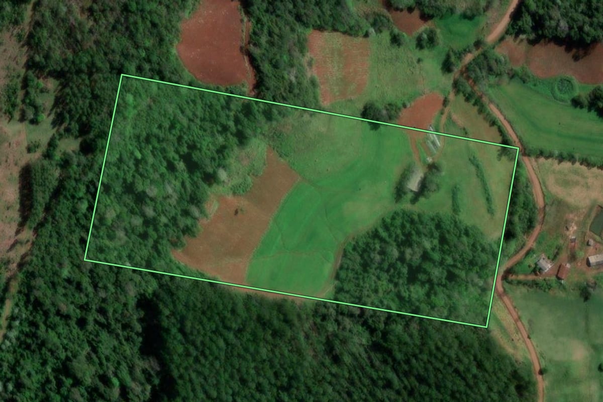 Imagem de satélite do imóvel rural em Palmitinho (RS), com o contorno declarado no CAR desenhado por cima.
