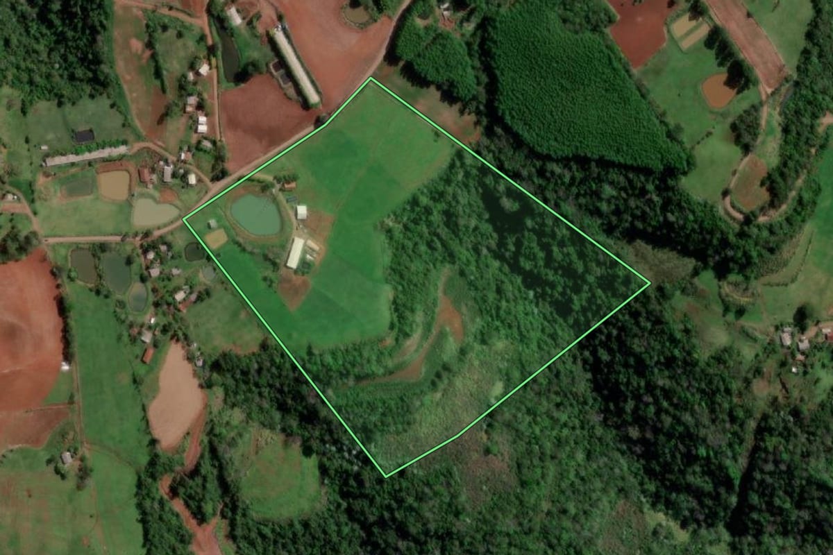 Imagem de satélite do imóvel rural em Palmitinho (RS), com o contorno declarado no CAR desenhado por cima.