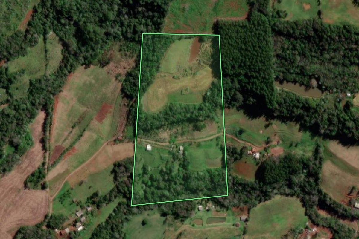 Imagem de satélite do imóvel rural em Palmitinho (RS), com o contorno declarado no CAR desenhado por cima.