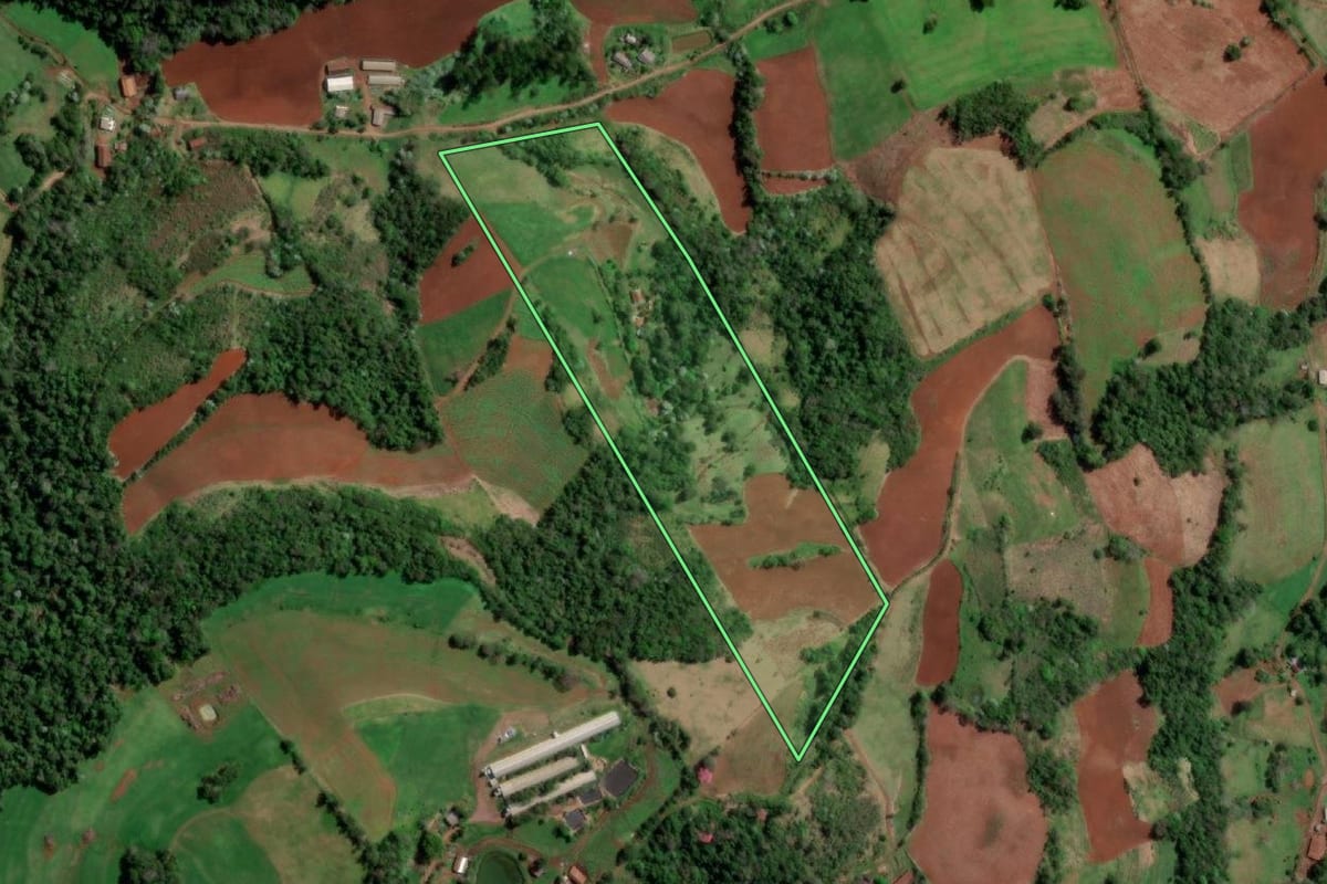 Imagem de satélite do imóvel rural em Palmitinho (RS), com o contorno declarado no CAR desenhado por cima.