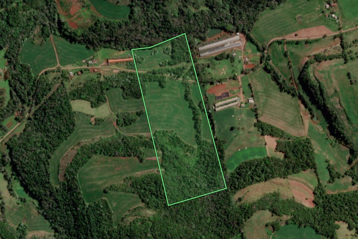 Imagem de satélite do imóvel rural em Palmitinho (RS), com o contorno declarado no CAR desenhado por cima.