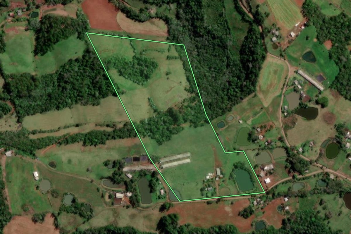 Imagem de satélite do imóvel rural em Palmitinho (RS), com o contorno declarado no CAR desenhado por cima.