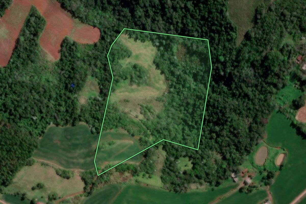 Imagem de satélite do imóvel rural em Palmitinho (RS), com o contorno declarado no CAR desenhado por cima.