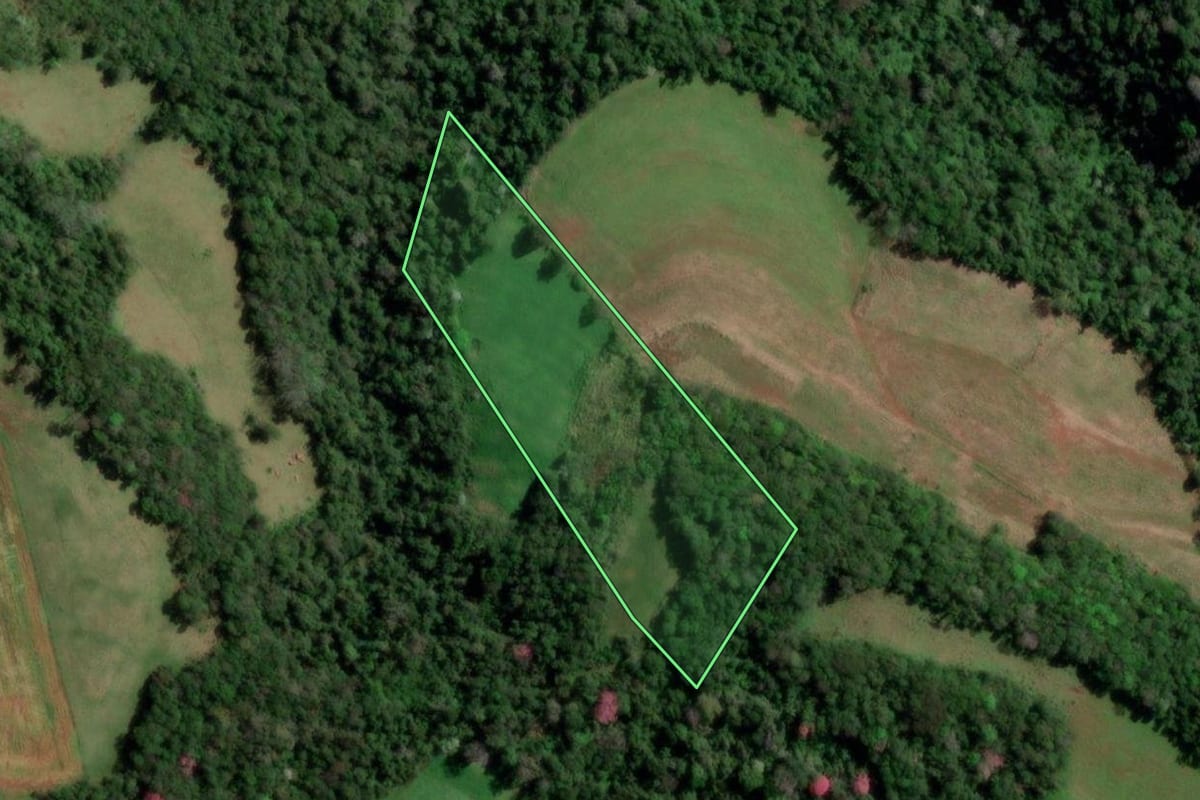 Imagem de satélite do imóvel rural em Palmitinho (RS), com o contorno declarado no CAR desenhado por cima.