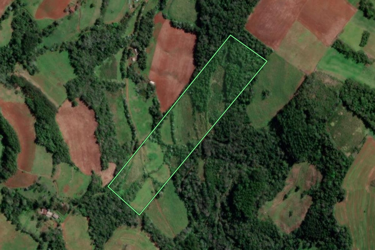 Imagem de satélite do imóvel rural em Palmitinho (RS), com o contorno declarado no CAR desenhado por cima.