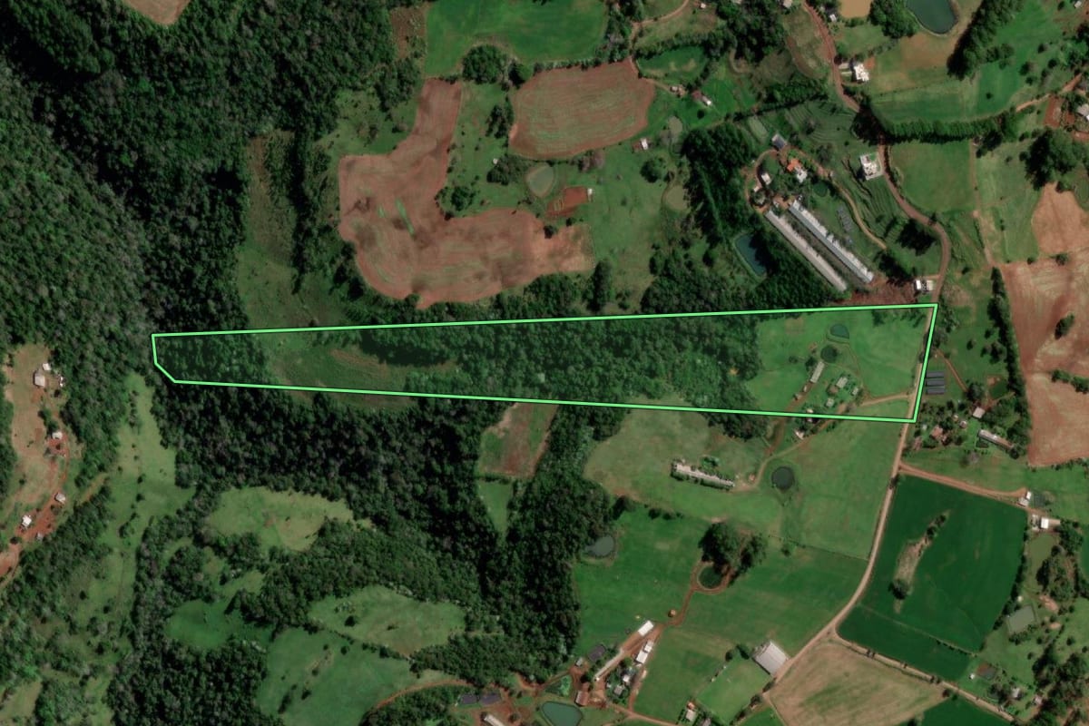 Imagem de satélite do imóvel rural em Palmitinho (RS), com o contorno declarado no CAR desenhado por cima.