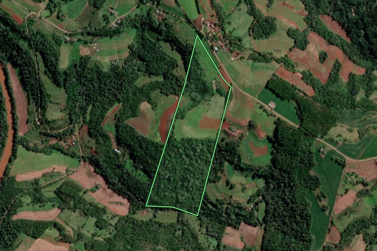 Imagem de satélite do imóvel rural em Palmitinho (RS), com o contorno declarado no CAR desenhado por cima.