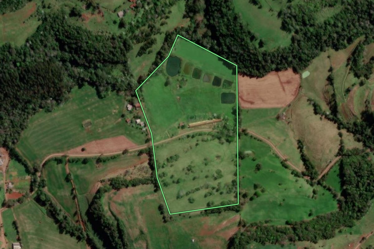 Imagem de satélite do imóvel rural em Palmitinho (RS), com o contorno declarado no CAR desenhado por cima.