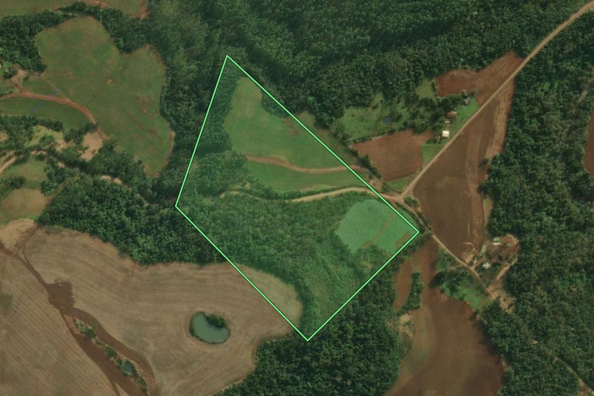 Imagem de satélite do imóvel rural em Palmitinho (RS), com o contorno declarado no CAR desenhado por cima.
