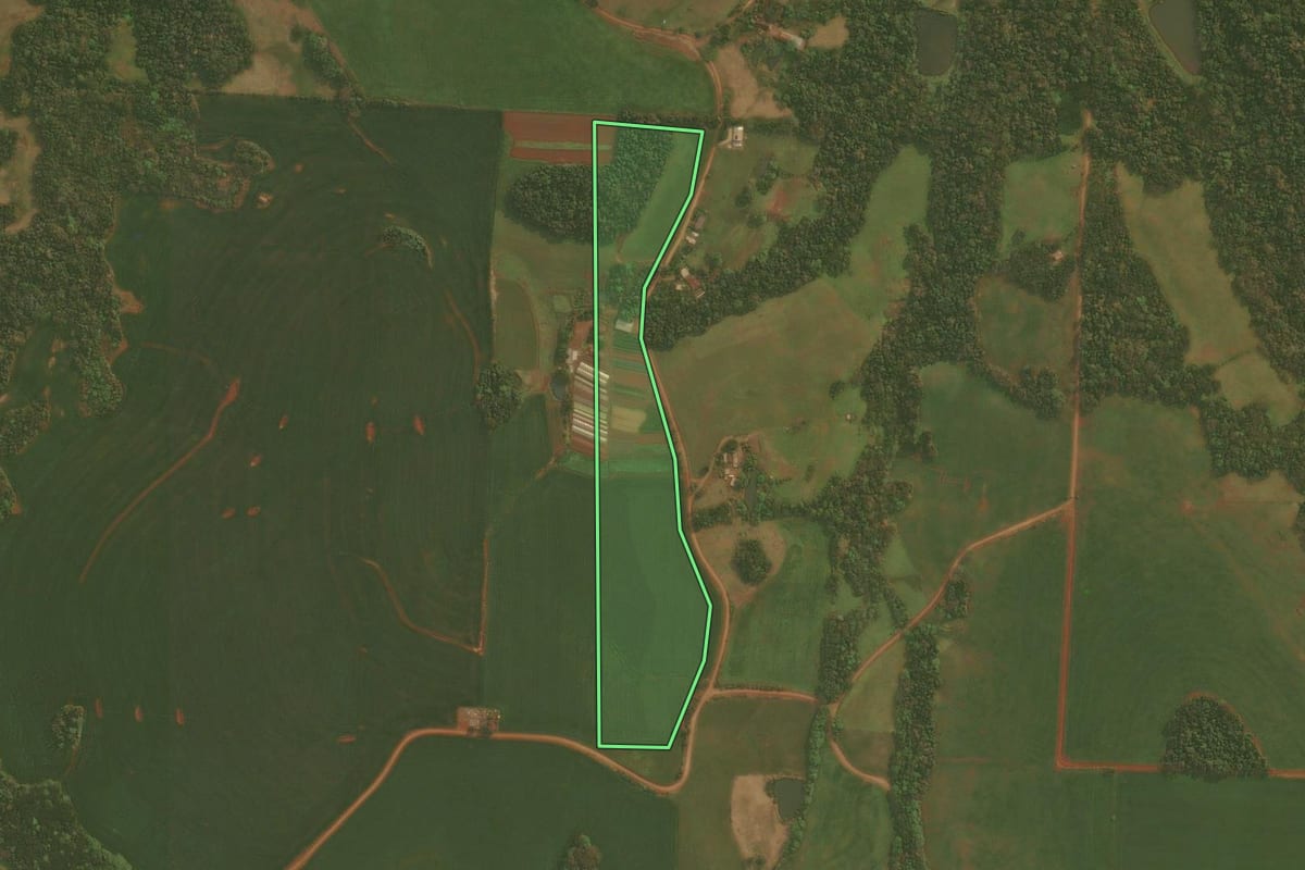 Imagem de satélite do imóvel rural em Panambi (RS), com o contorno declarado no CAR desenhado por cima.
