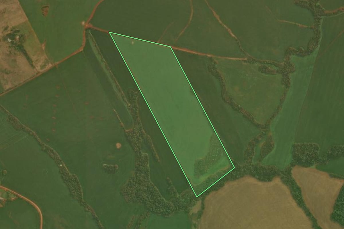 Imagem de satélite do imóvel rural em Panambi (RS), com o contorno declarado no CAR desenhado por cima.