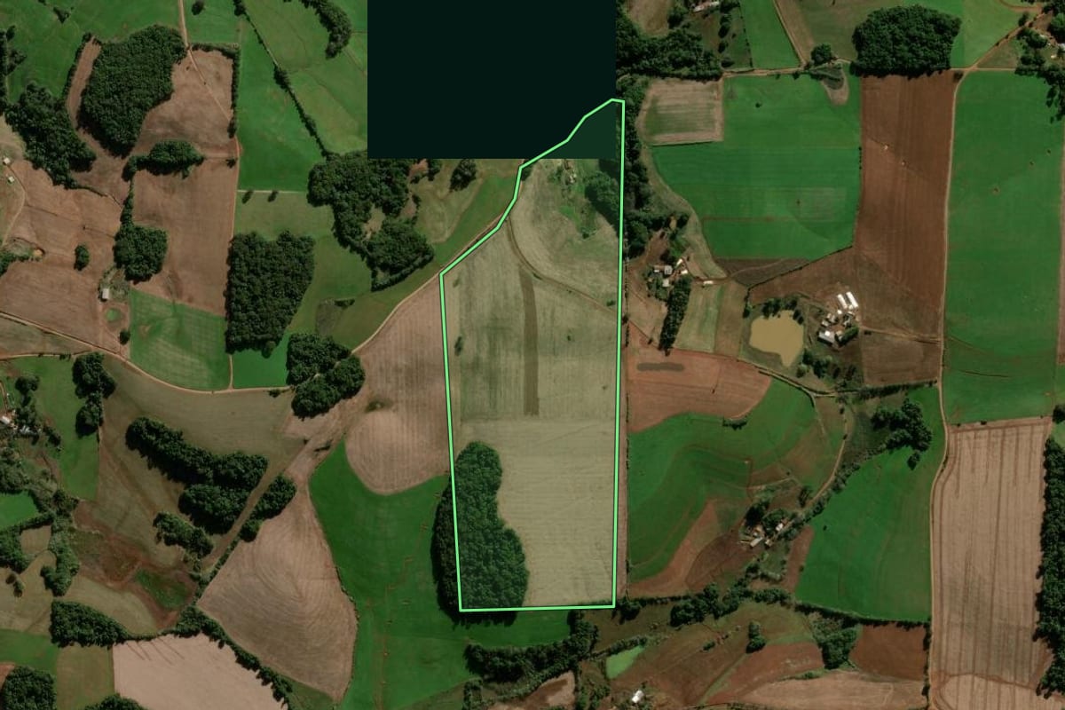 Imagem de satélite do imóvel rural em Panambi (RS), com o contorno declarado no CAR desenhado por cima.