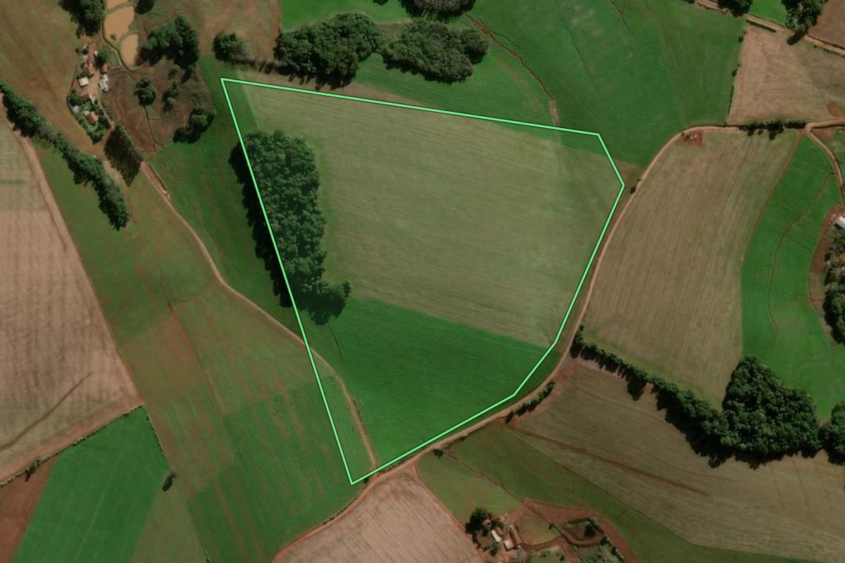 Imagem de satélite do imóvel rural em Panambi (RS), com o contorno declarado no CAR desenhado por cima.