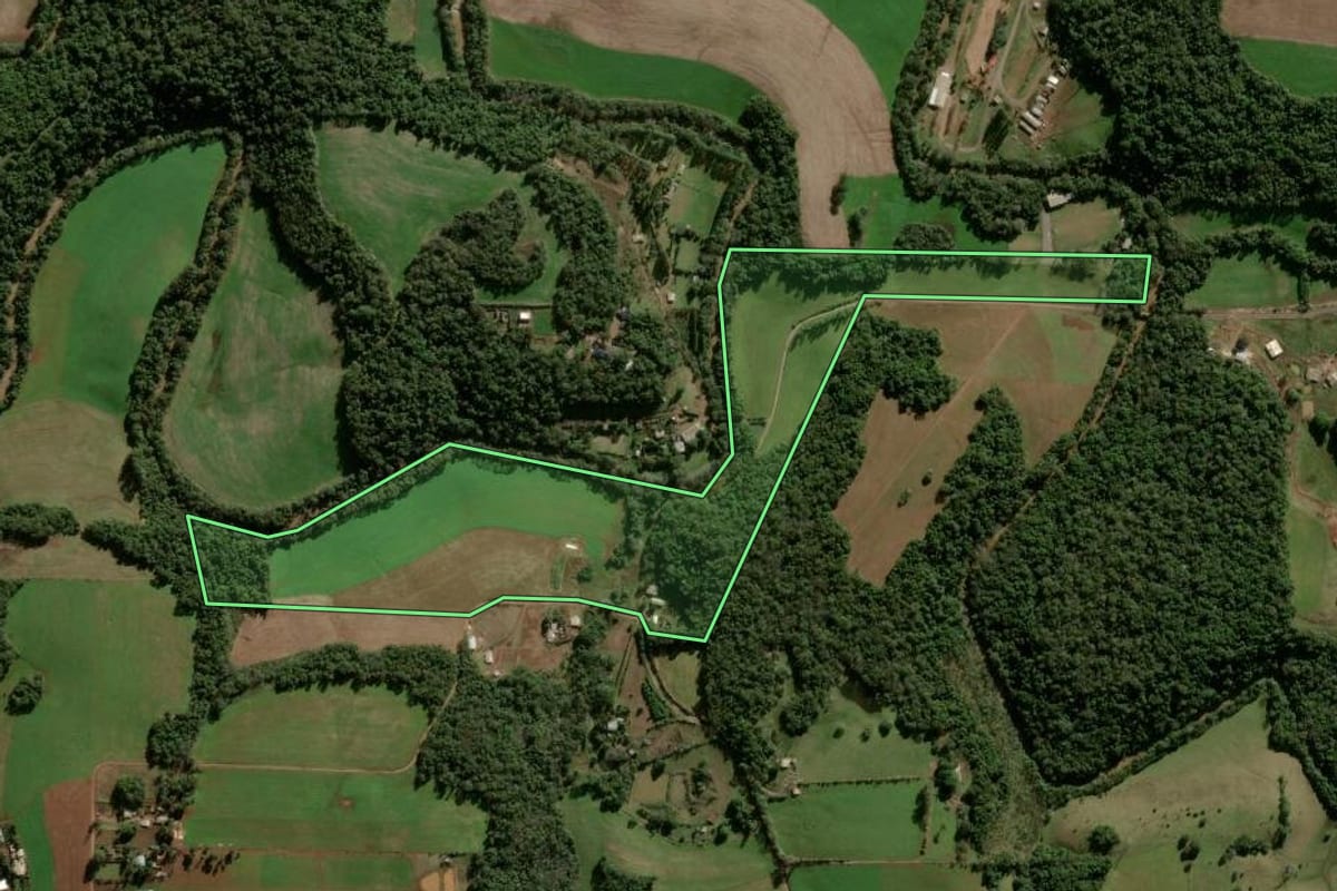 Imagem de satélite do imóvel rural em Panambi (RS), com o contorno declarado no CAR desenhado por cima.