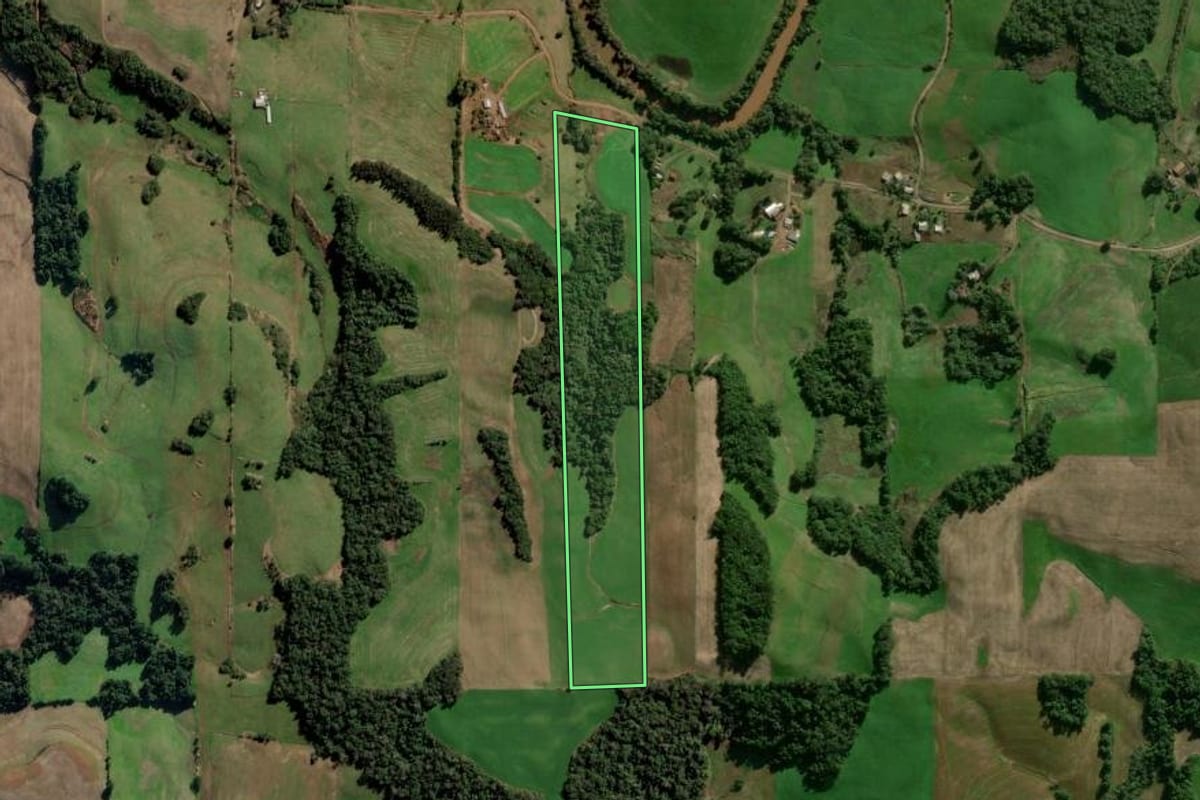 Imagem de satélite do imóvel rural em Panambi (RS), com o contorno declarado no CAR desenhado por cima.