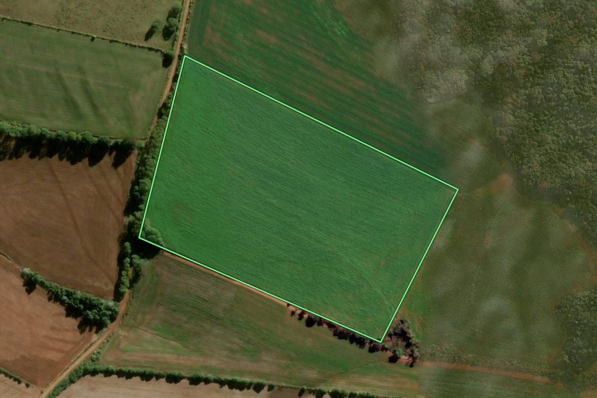 Imagem de satélite do imóvel rural em Panambi (RS), com o contorno declarado no CAR desenhado por cima.