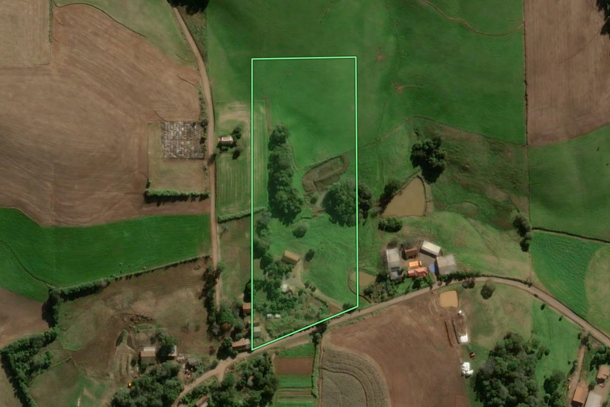 Imagem de satélite do imóvel rural em Panambi (RS), com o contorno declarado no CAR desenhado por cima.