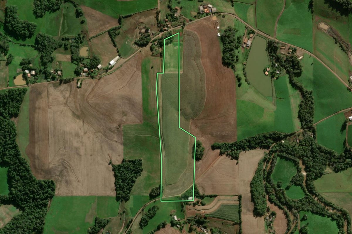 Imagem de satélite do imóvel rural em Panambi (RS), com o contorno declarado no CAR desenhado por cima.