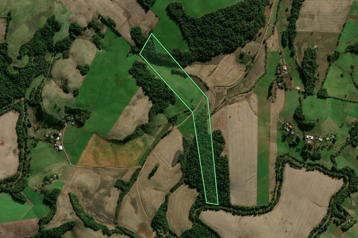 Imagem de satélite do imóvel rural em Panambi (RS), com o contorno declarado no CAR desenhado por cima.