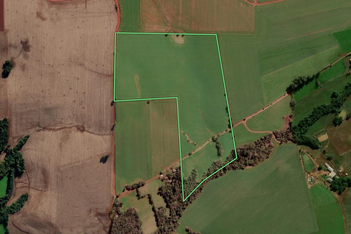 Imagem de satélite do imóvel rural em Panambi (RS), com o contorno declarado no CAR desenhado por cima.