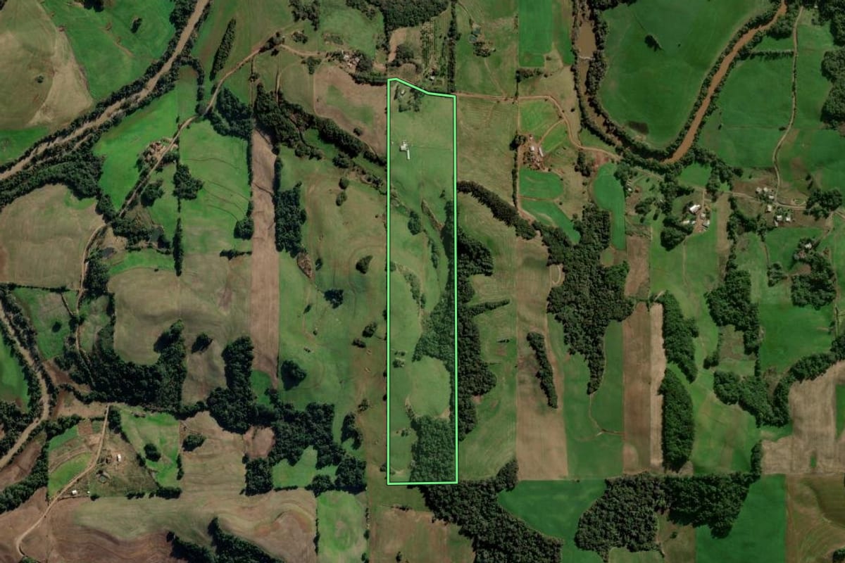 Imagem de satélite do imóvel rural em Panambi (RS), com o contorno declarado no CAR desenhado por cima.