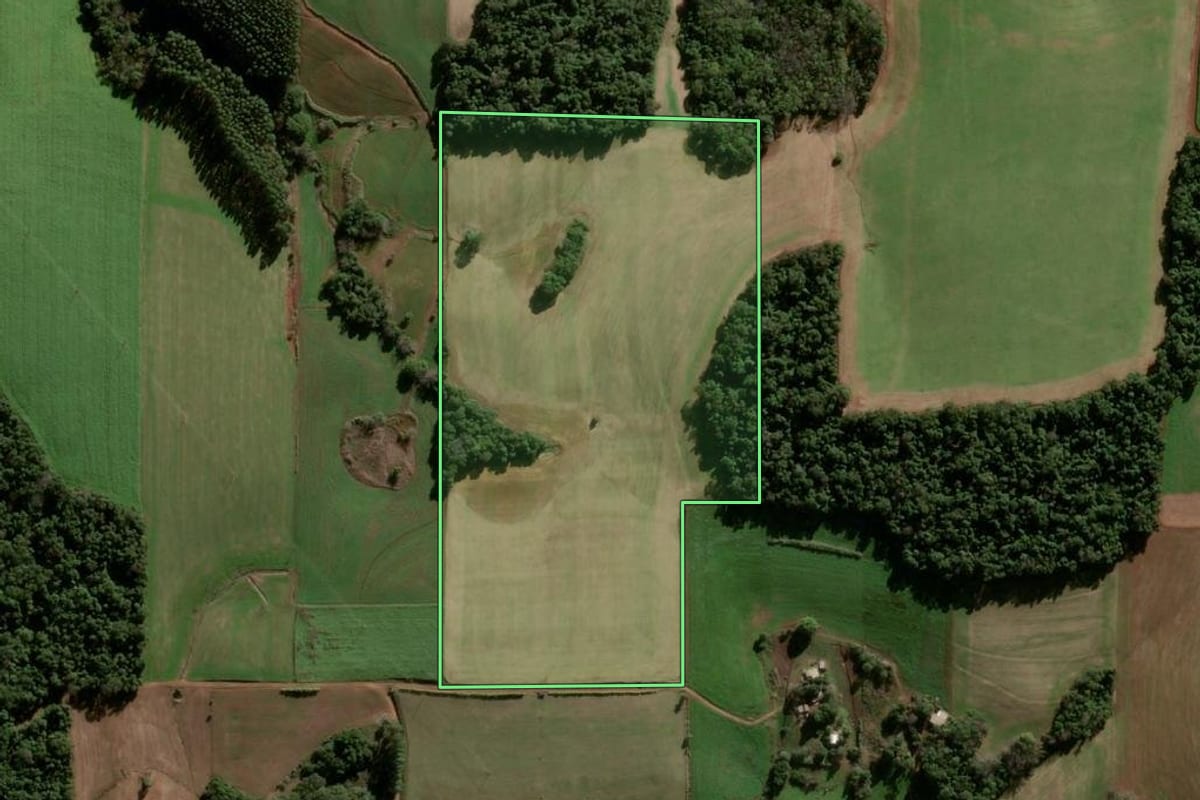 Imagem de satélite do imóvel rural em Panambi (RS), com o contorno declarado no CAR desenhado por cima.