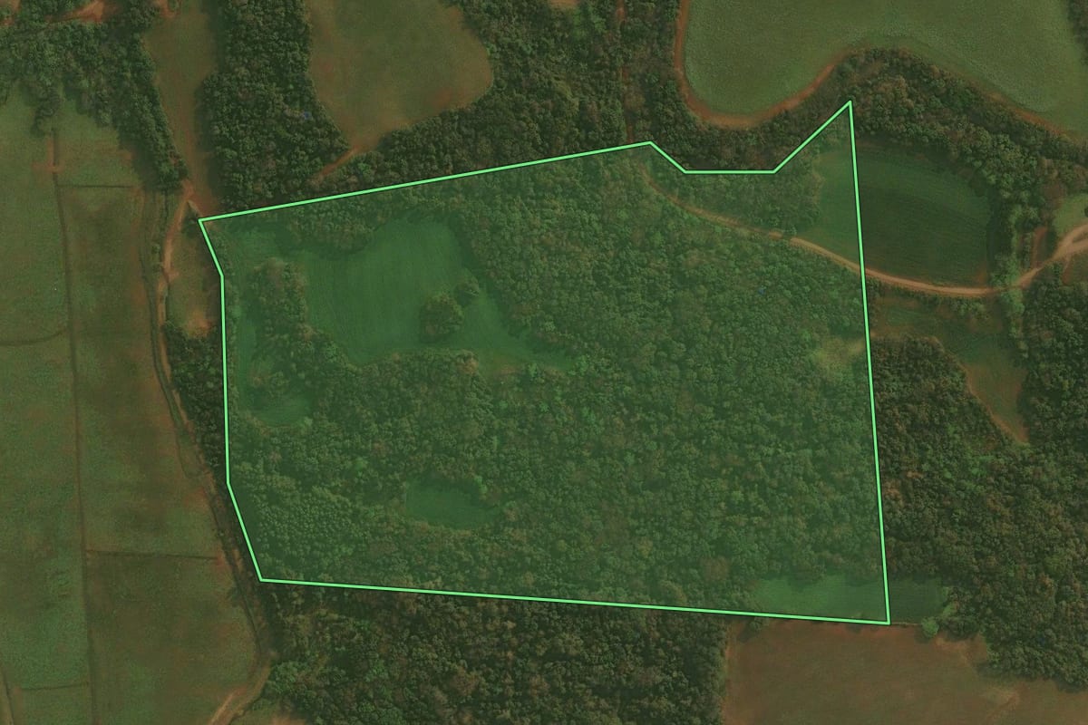 Imagem de satélite do imóvel rural em Panambi (RS), com o contorno declarado no CAR desenhado por cima.