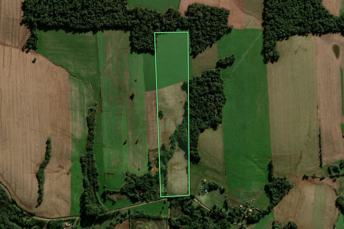 Imagem de satélite do imóvel rural em Panambi (RS), com o contorno declarado no CAR desenhado por cima.