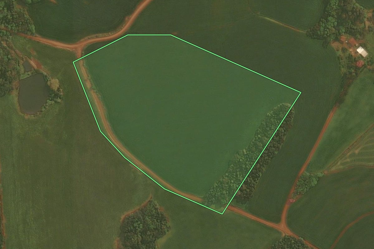 Imagem de satélite do imóvel rural em Panambi (RS), com o contorno declarado no CAR desenhado por cima.