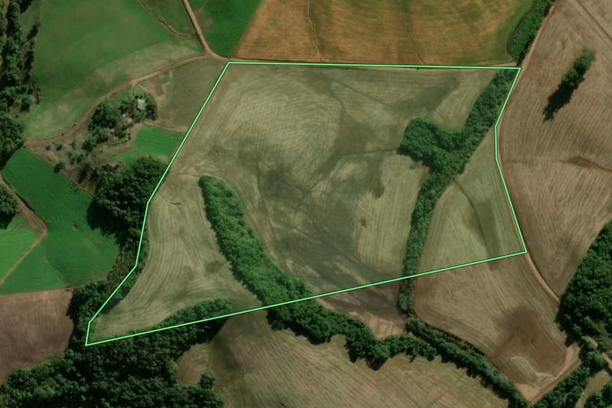Imagem de satélite do imóvel rural em Panambi (RS), com o contorno declarado no CAR desenhado por cima.