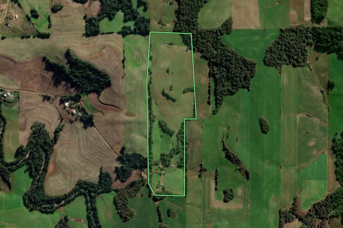 Imagem de satélite do imóvel rural em Panambi (RS), com o contorno declarado no CAR desenhado por cima.