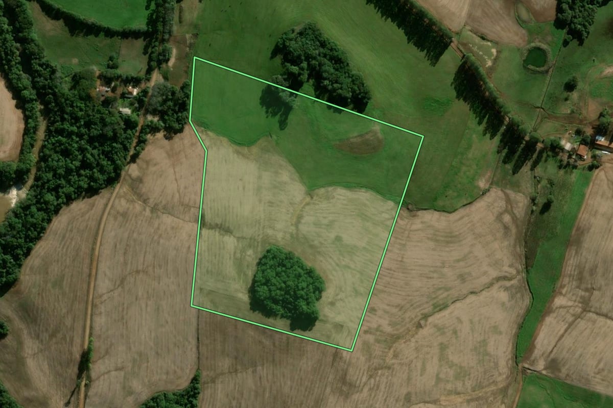 Imagem de satélite do imóvel rural em Panambi (RS), com o contorno declarado no CAR desenhado por cima.