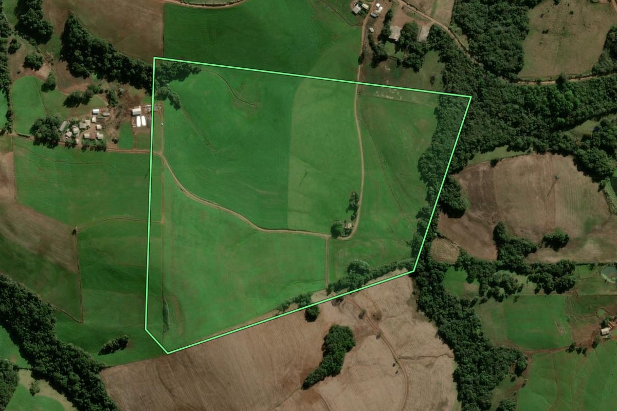 Imagem de satélite do imóvel rural em Panambi (RS), com o contorno declarado no CAR desenhado por cima.