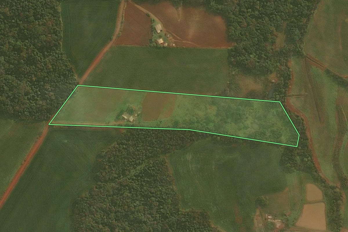 Imagem de satélite do imóvel rural em Panambi (RS), com o contorno declarado no CAR desenhado por cima.