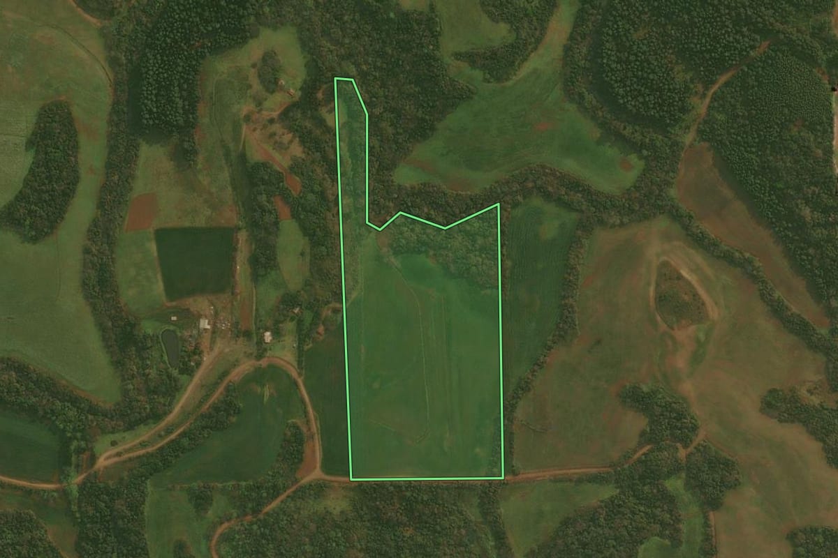 Imagem de satélite do imóvel rural em Panambi (RS), com o contorno declarado no CAR desenhado por cima.