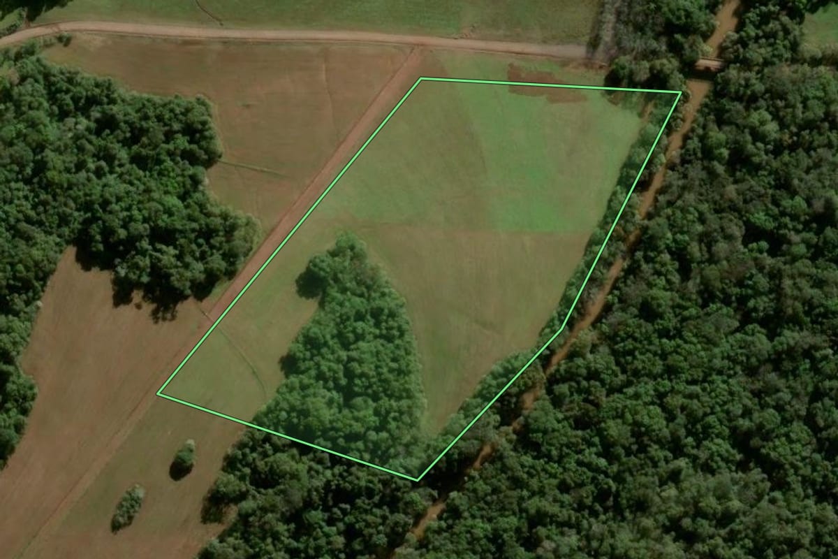 Imagem de satélite do imóvel rural em Panambi (RS), com o contorno declarado no CAR desenhado por cima.