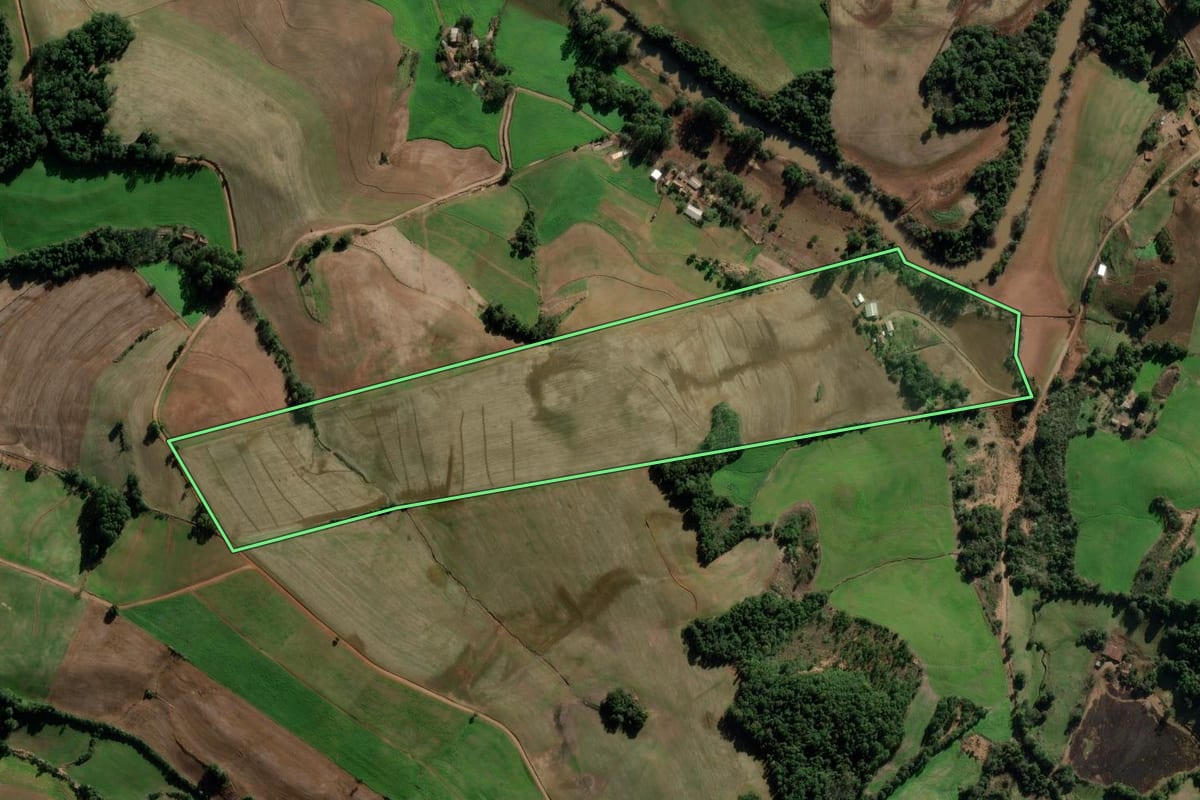 Imagem de satélite do imóvel rural em Panambi (RS), com o contorno declarado no CAR desenhado por cima.