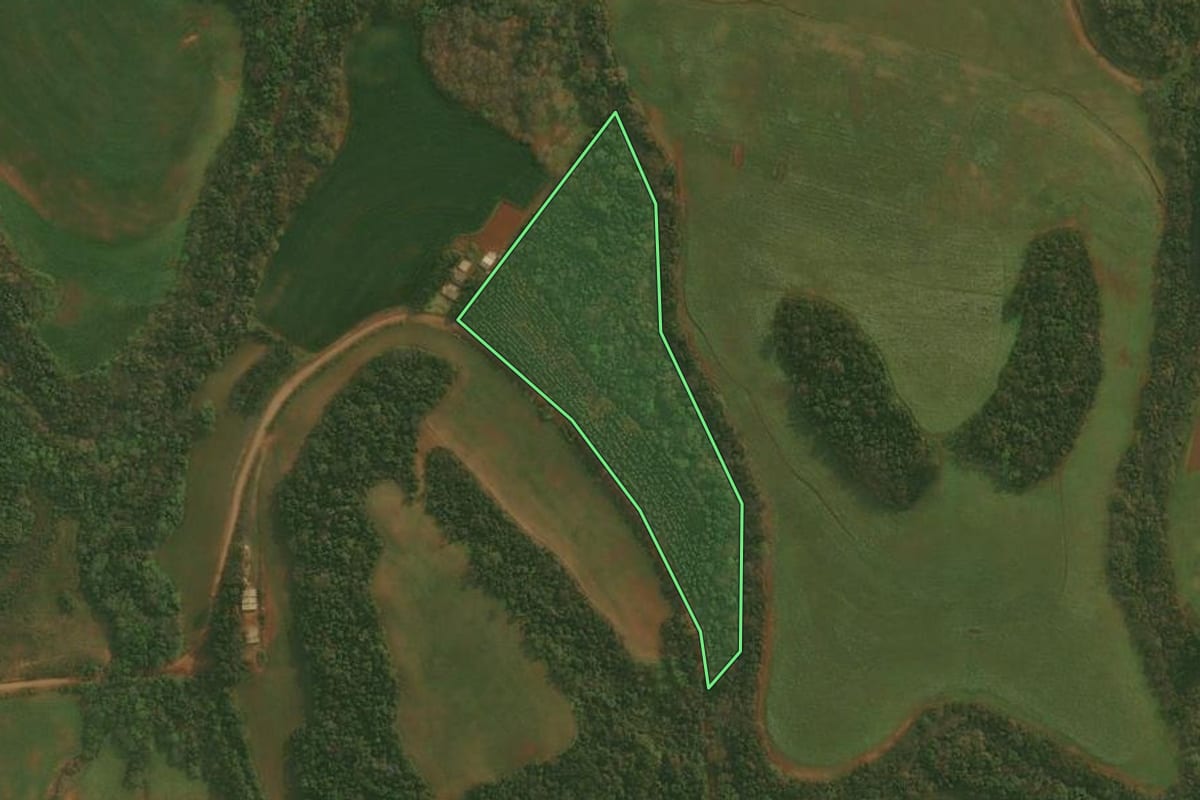 Imagem de satélite do imóvel rural em Panambi (RS), com o contorno declarado no CAR desenhado por cima.