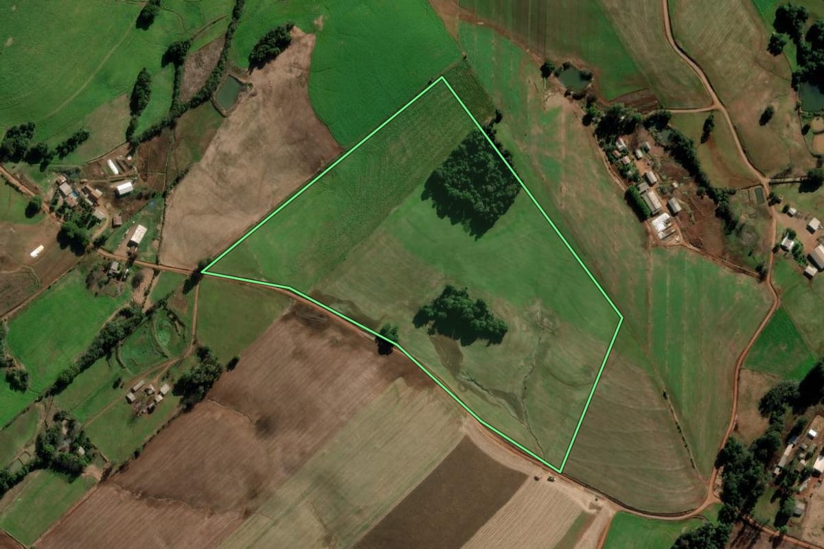 Imagem de satélite do imóvel rural em Panambi (RS), com o contorno declarado no CAR desenhado por cima.