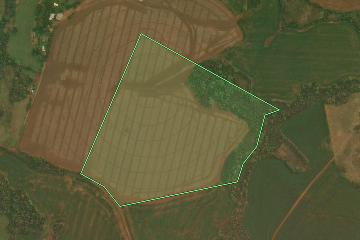 Imagem de satélite do imóvel rural em Panambi (RS), com o contorno declarado no CAR desenhado por cima.