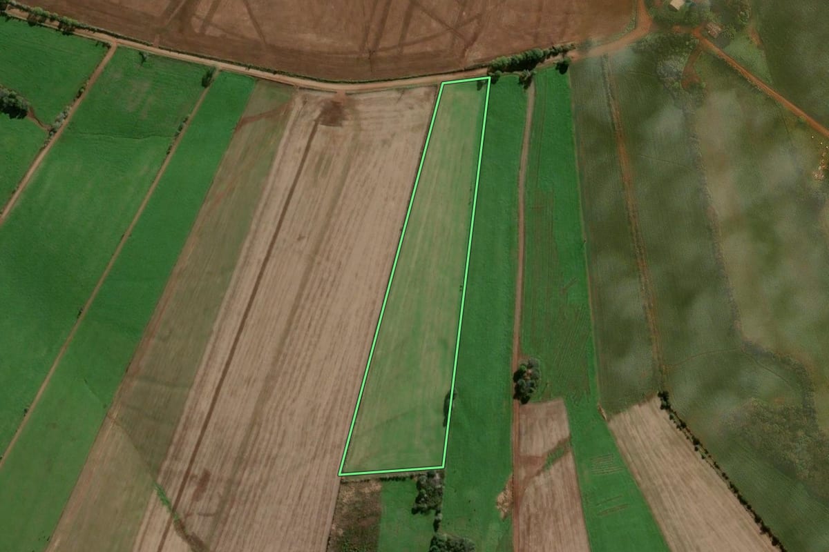 Imagem de satélite do imóvel rural em Panambi (RS), com o contorno declarado no CAR desenhado por cima.