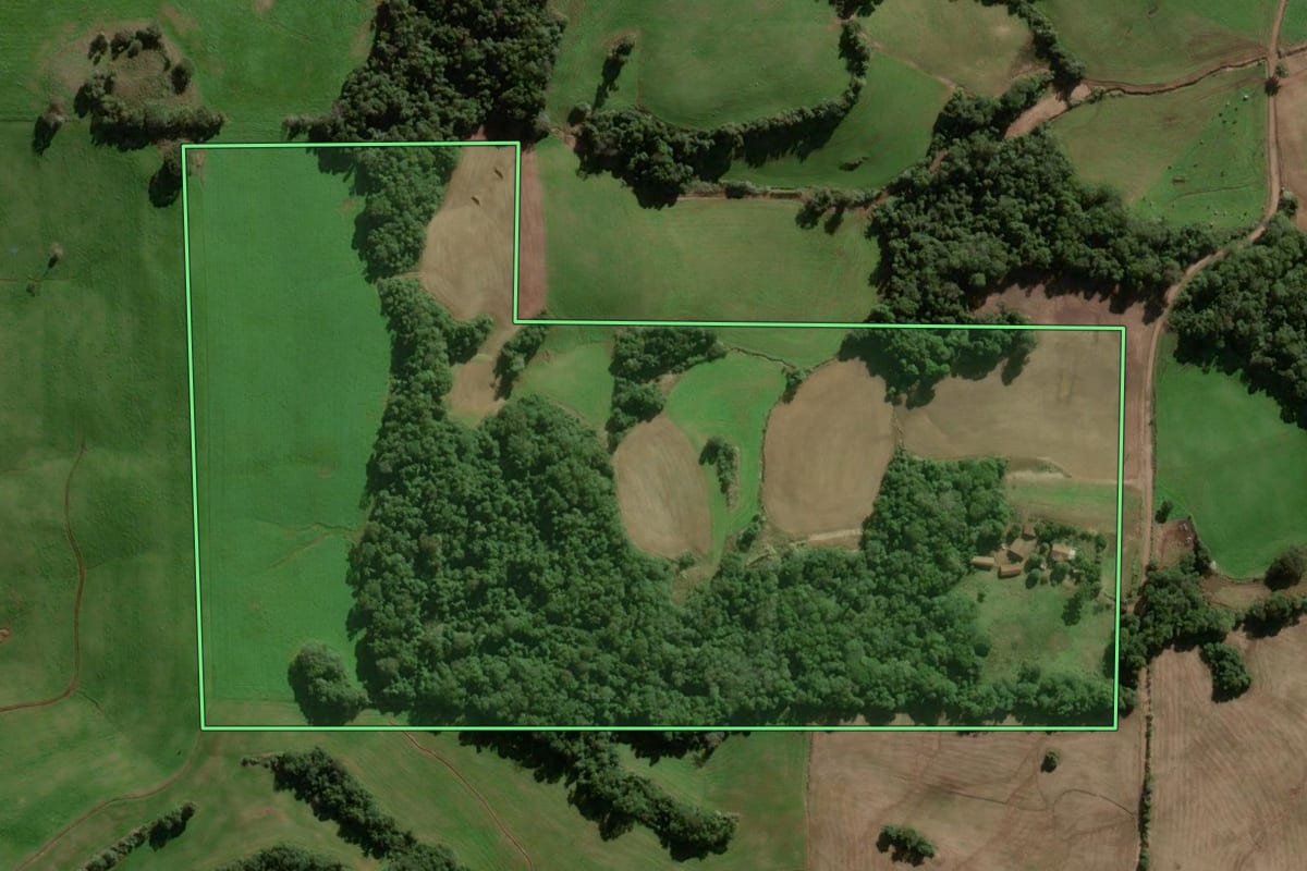 Imagem de satélite do imóvel rural em Panambi (RS), com o contorno declarado no CAR desenhado por cima.