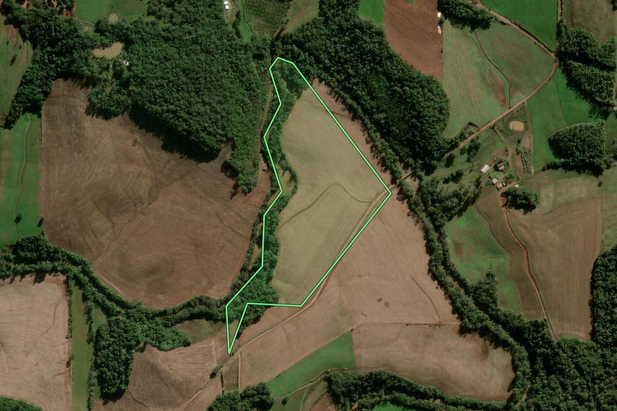 Imagem de satélite do imóvel rural em Panambi (RS), com o contorno declarado no CAR desenhado por cima.