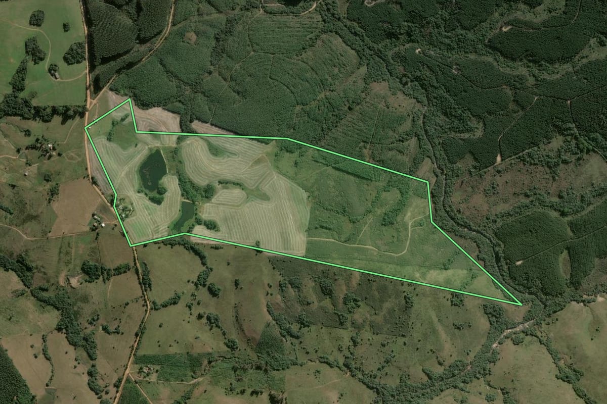 Imagem de satélite do imóvel rural em Pantano Grande (RS), com o contorno declarado no CAR desenhado por cima.