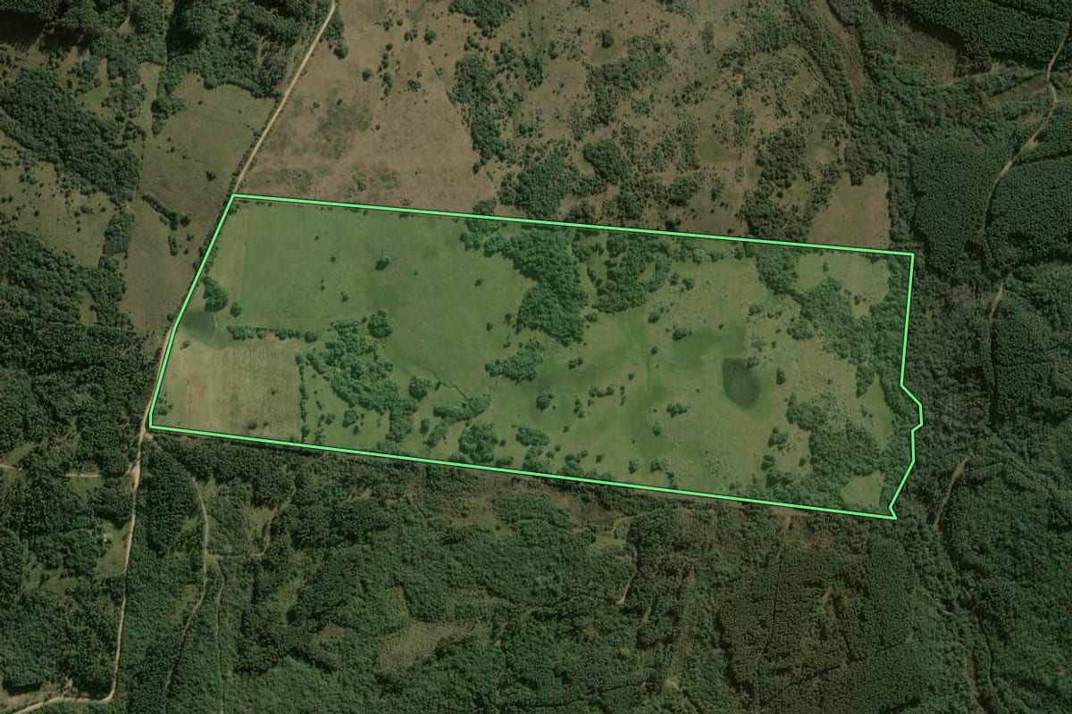 Imagem de satélite do imóvel rural em Pantano Grande (RS), com o contorno declarado no CAR desenhado por cima.