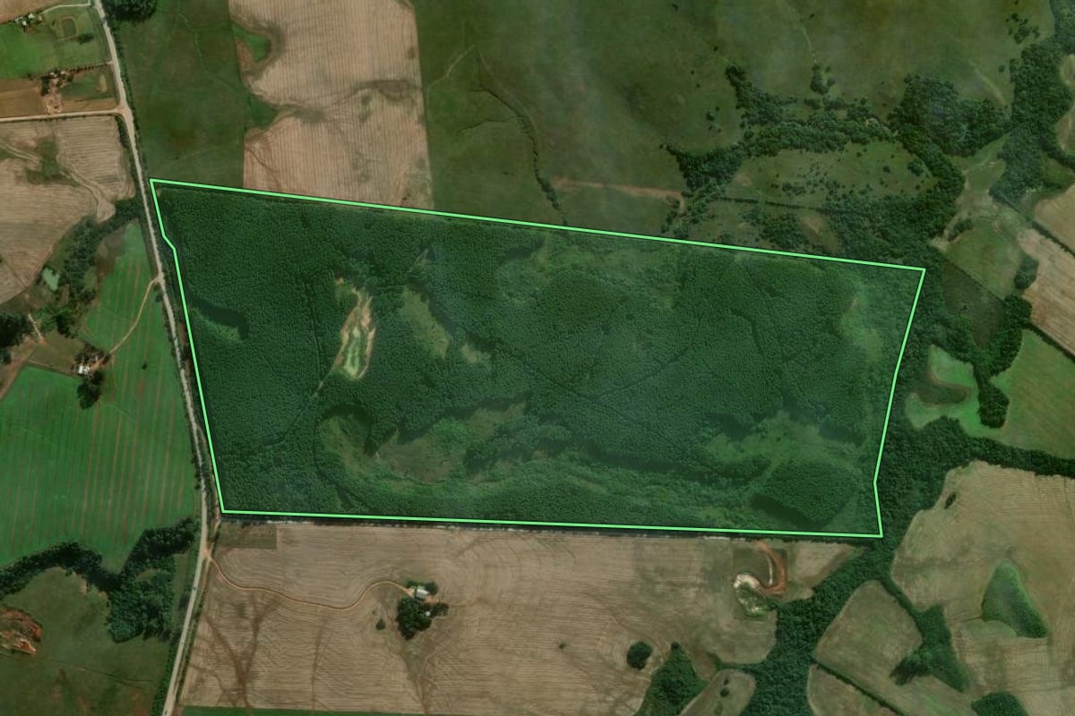 Imagem de satélite do imóvel rural em Pantano Grande (RS), com o contorno declarado no CAR desenhado por cima.