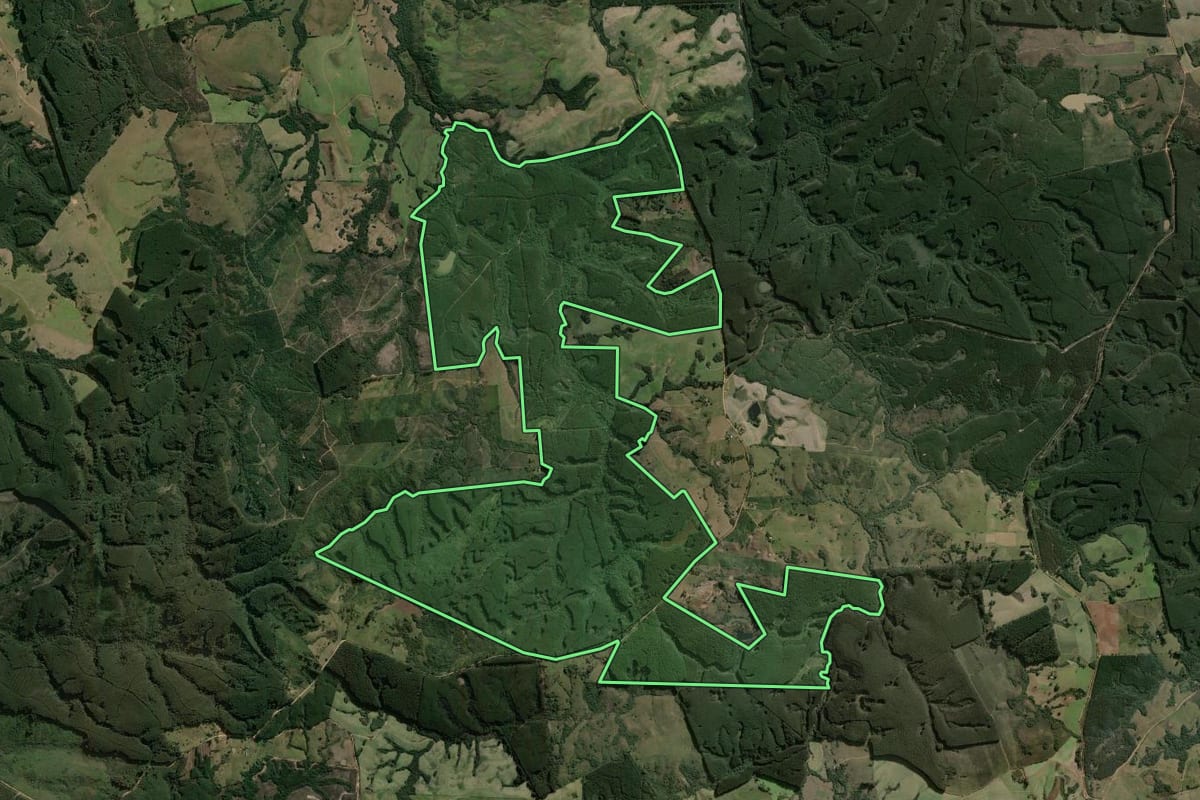Imagem de satélite do imóvel rural em Pantano Grande (RS), com o contorno declarado no CAR desenhado por cima.