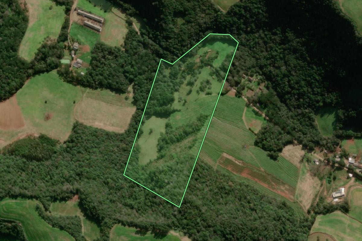 Imagem de satélite do imóvel rural em Paraí (RS), com o contorno declarado no CAR desenhado por cima.