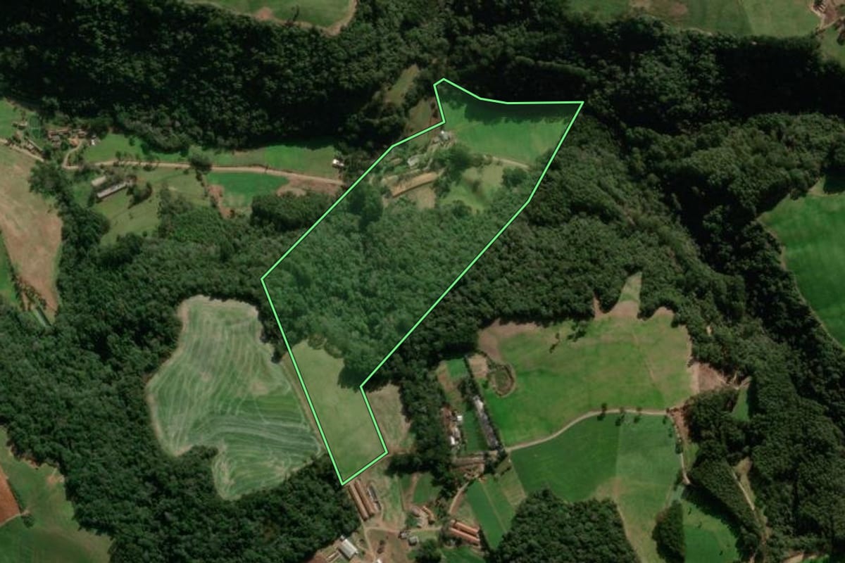 Imagem de satélite do imóvel rural em Paraí (RS), com o contorno declarado no CAR desenhado por cima.
